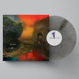 Sharon Van Etten - We've been going about this all wrong (LP) - Velvet Music