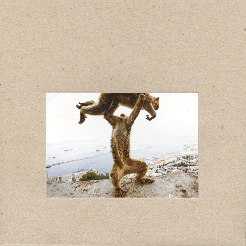 Shellac - Dude incredible (CD) - Velvet Music