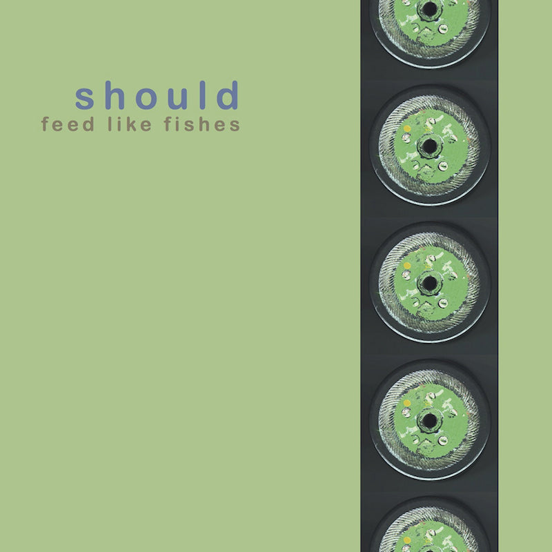 Should - Feed like fishes (CD) - Velvet Music