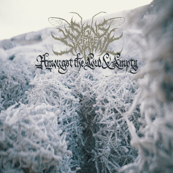 Signs Of The Swarm - Amongst the low & empty (CD) - Velvet Music