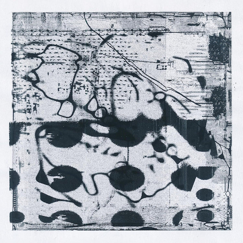 Simon Lanz & Tobias Lanz - Arches (LP) - Velvet Music