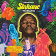 Sinkane - We belong (LP) - Velvet Music