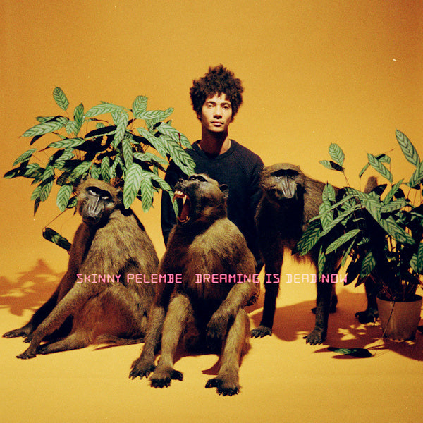 Skinny Pelembe - Dreaming is dead now (LP) - Velvet Music