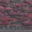 Sleep Token - Even in arcadia (LP) - Velvet Music