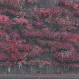 Sleep Token - Even in arcadia (LP)