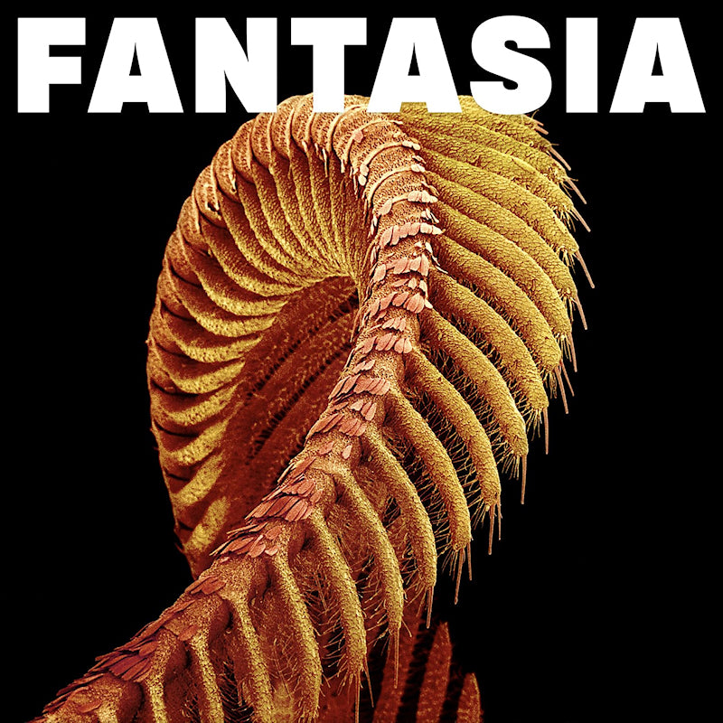 Slift - Fantasia (CD)