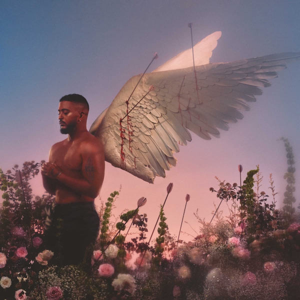 Slimane - Chroniques d'un cupidon (LP)