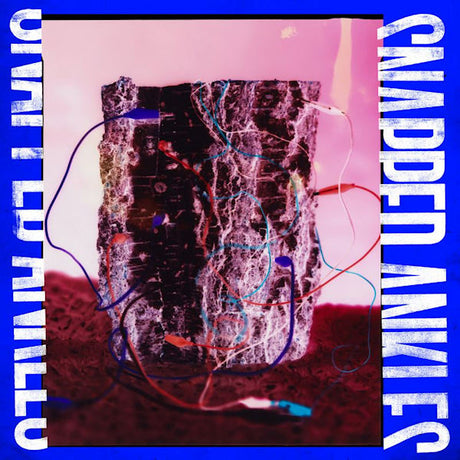Snapped Ankles - Forest of your problems (LP) - Velvet Music