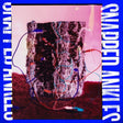Snapped Ankles - Forest of your problems (LP) - Velvet Music
