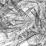 So Sner - Reime (LP) - Velvet Music