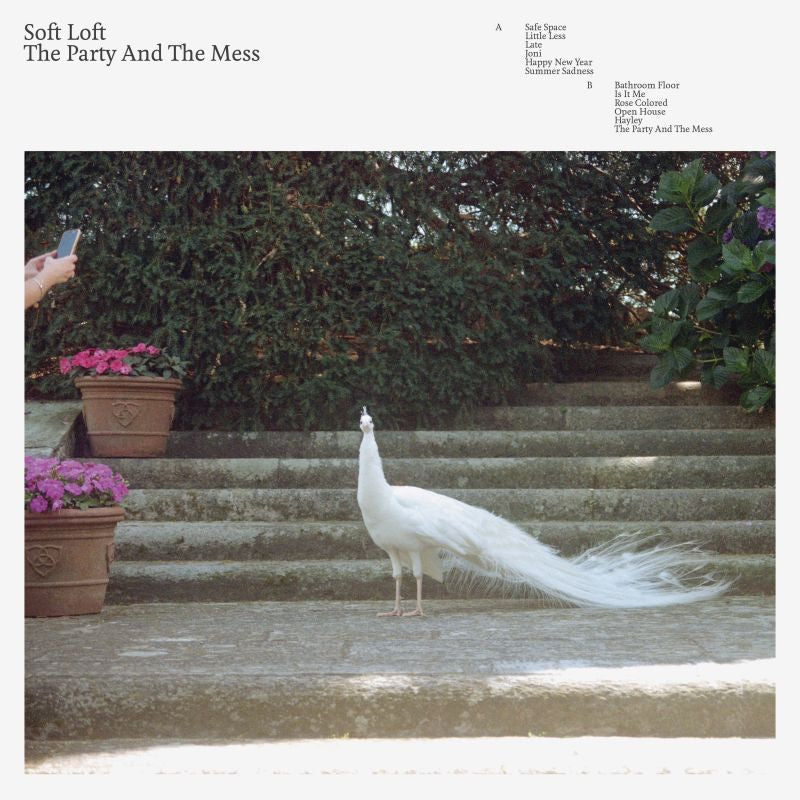 Soft Loft - The party and the mess (LP) - Velvet Music