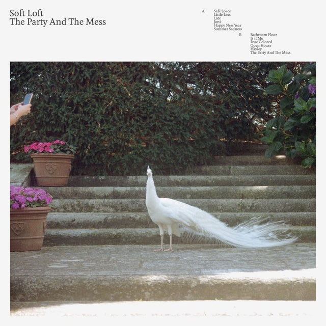 Soft Loft - The party and the mess (LP) - Velvet Music