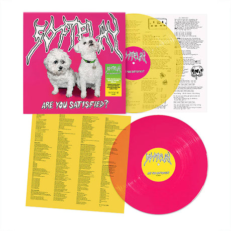 Soft Play - Are you satisfied? (LP) - Velvet Music