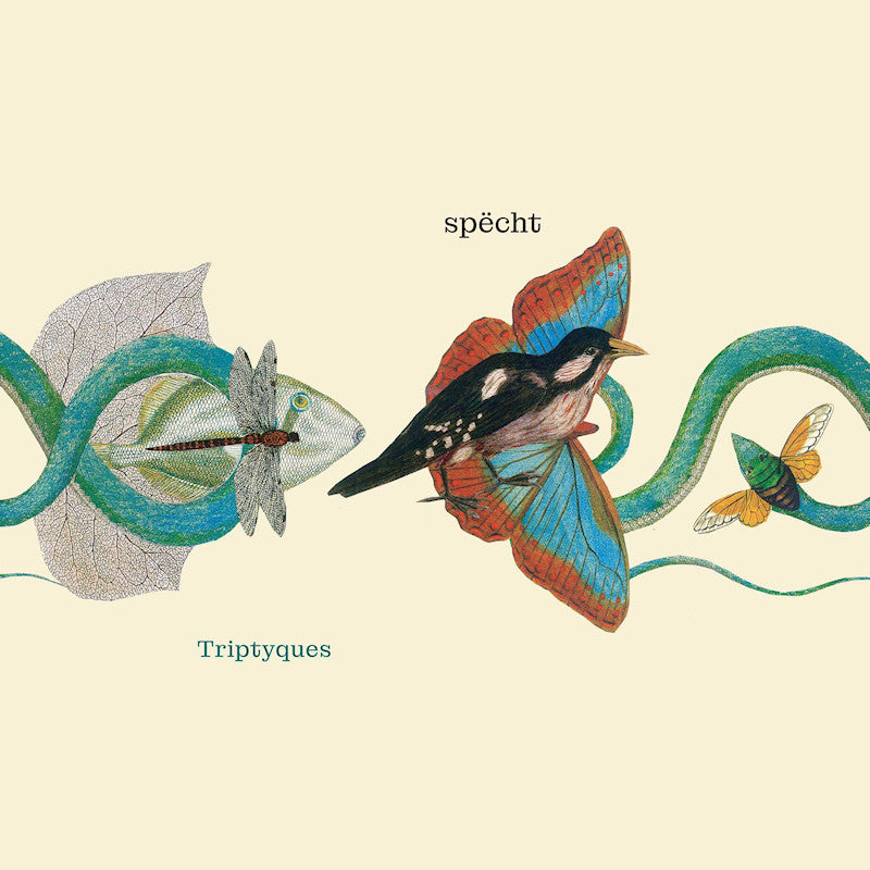 Specht - Triptyques (LP) - Velvet Music