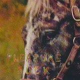 Spirit Of The Beehive - Pleasure suck (CD) - Velvet Music