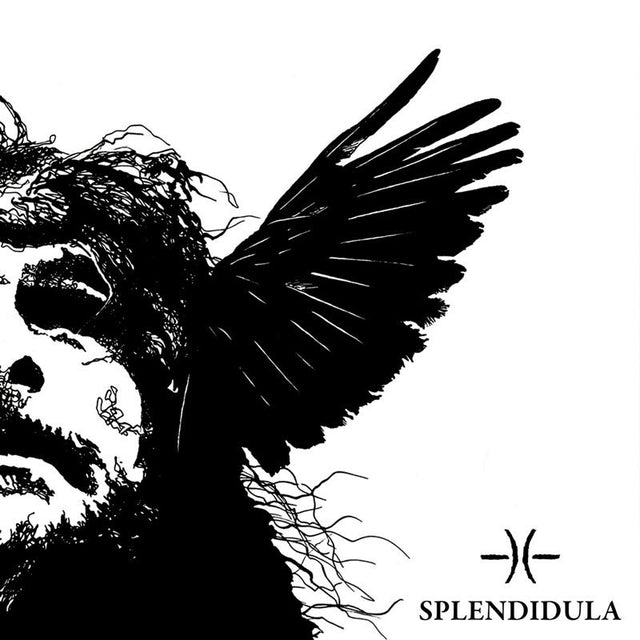 Splendidula - Somnus (LP) - Velvet Music