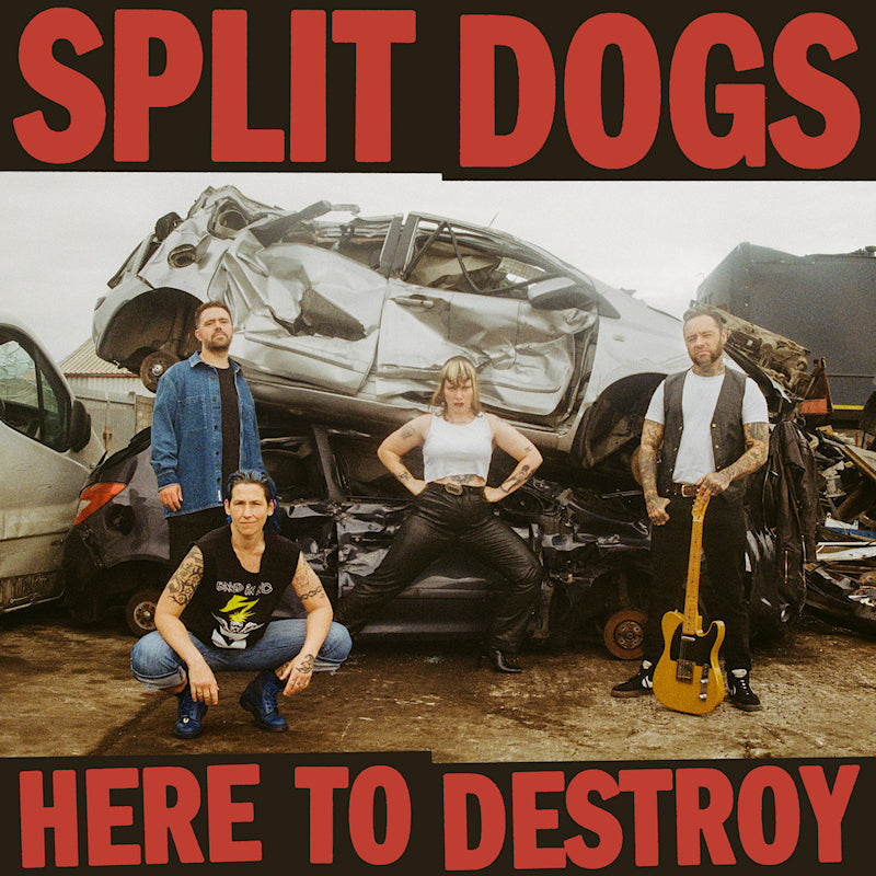 Split Dogs - Here to destroy (LP) - Velvet Music