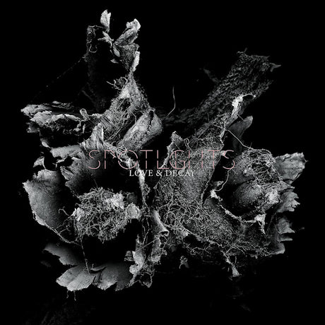 Spotlights - Love & decay (LP) - Velvet Music