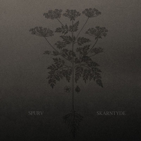 Spurv - Skarntyde (CD) - Velvet Music