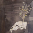 Steve Gunn & Black Twig Pickers - Seasonal hire (LP) - Velvet Music
