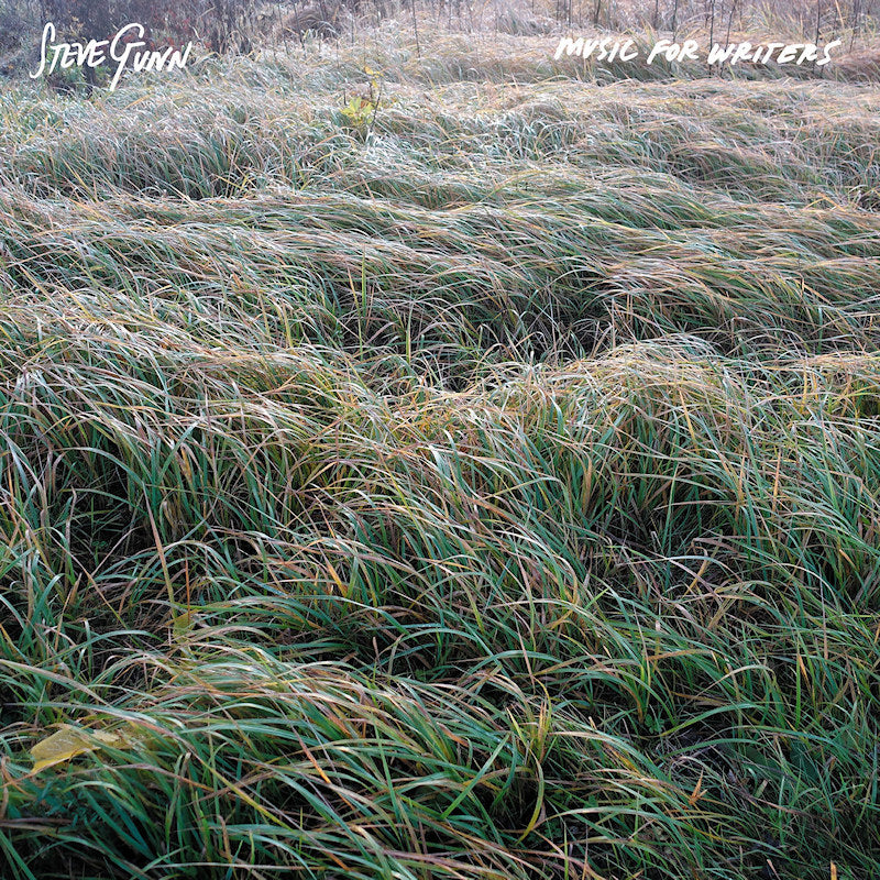 Steve Gunn - Music For Writers (LP) - Velvet Music