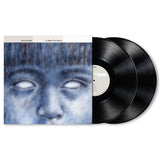 Steve Hackett - To watch the storms -réédition 2023- (LP)