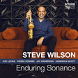 Steve Wilson - Enduring sonance (LP) - Velvet Music