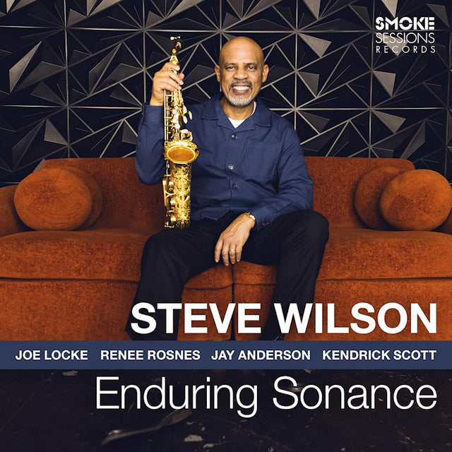 Steve Wilson - Enduring sonance (LP) - Velvet Music