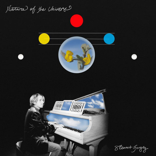 Stewart Forgey - Nature of the universe (LP) - Velvet Music