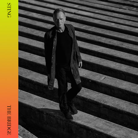 Sting - The bridge (CD) - Velvet Music