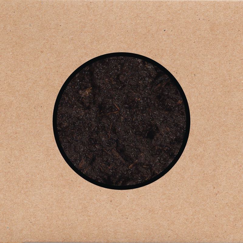 Swans - Birthing (CD) - Velvet Music