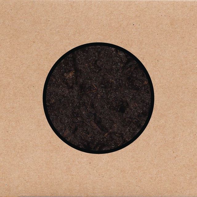 Swans - Birthing (CD) - Velvet Music