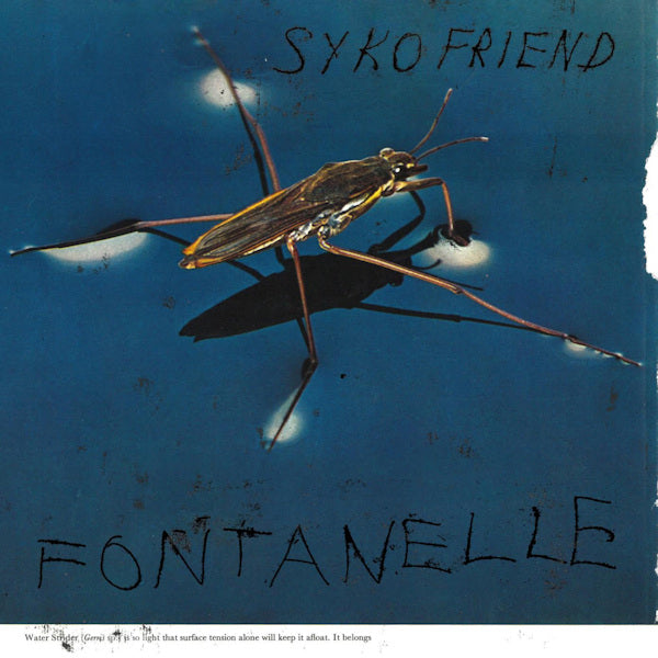 Syko Friend - Fontanelle (LP) - Velvet Music