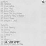 Sylvan Esso - No rules sandy (LP)