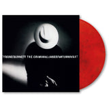 T Bone Burnett - The criminal under my own hat (LP)