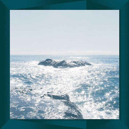 Takao - Stealth (LP)