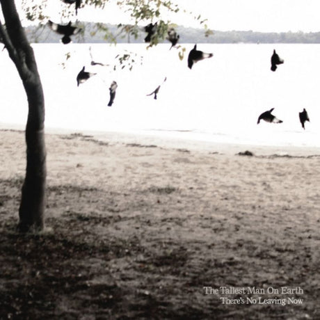 Tallest Man On Earth - There's no leaving now (CD)