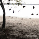 Tallest Man On Earth - There's no leaving now (LP) - Velvet Music