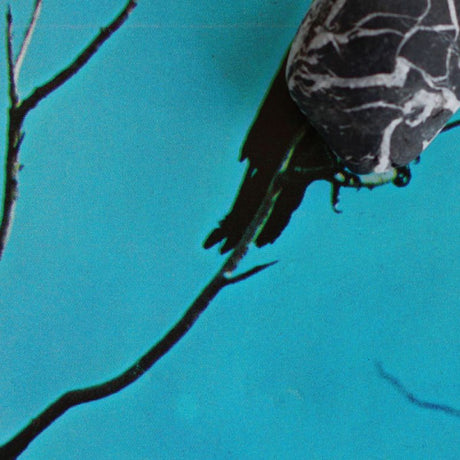 Tangents - Stateless (CD) - Velvet Music