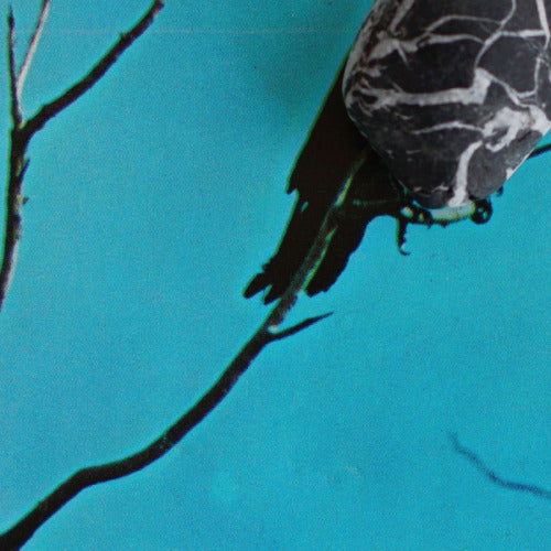 Tangents - Stateless (CD) - Velvet Music