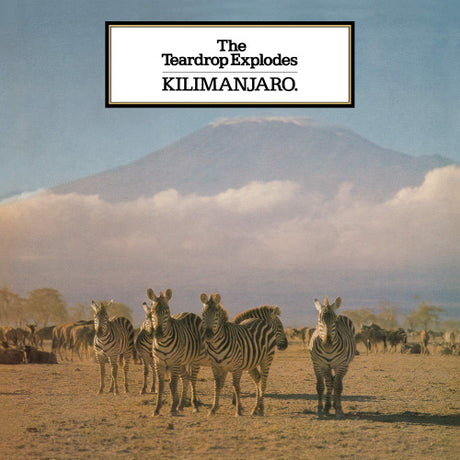 Teardrop Explodes - Kilimanjaro (LP) - Velvet Music