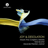Alexander Fiterstein - Joy & desolation (CD)