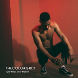 Thecolorgrey - For what it's worth (CD) - Velvet Music