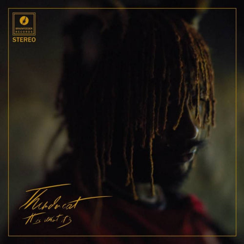 Thundercat - It is what it is (LP) - Velvet Music