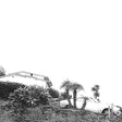 Timber Timbre - Hot dreams (CD) - Velvet Music