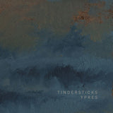 Tindersticks - Ypres (LP) - Velvet Music
