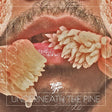Toro Y Moi - Underneath the pine (CD) - Velvet Music