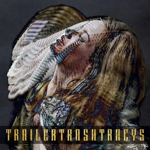 Trailer Trash Tracys - Ester (LP)