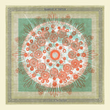Trampled By Turtles - Life is good on the open road (CD) - Velvet Music