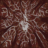 Trash Boat - Crown shyness (LP) - Velvet Music